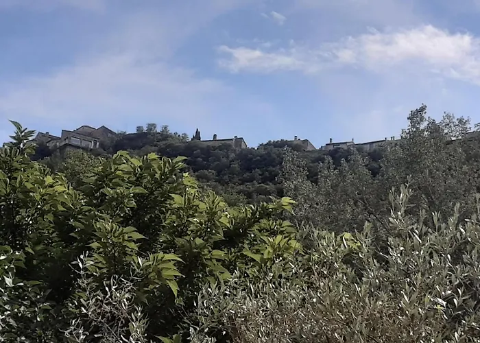 Le Chemin De Bruniele